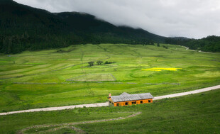 山间公路旁的美丽田园风光