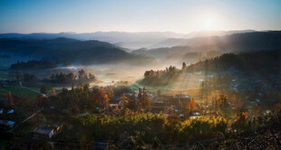 日出山林间的美丽景致