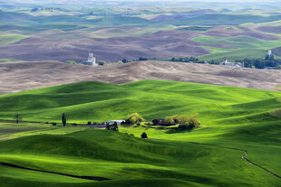 绿色田野中的村庄美景