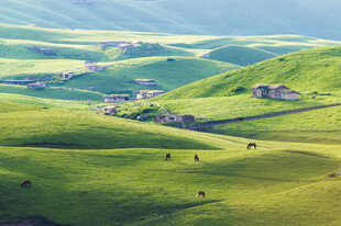 草原上的村落与牧群