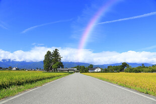 乡间公路上的美丽彩虹