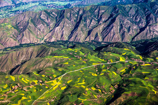 山间黄花点缀壮丽峡谷