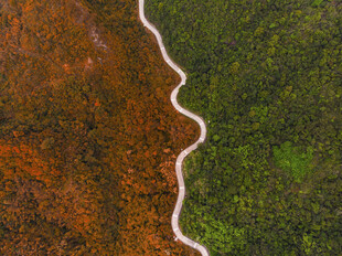 大地色彩分界景观