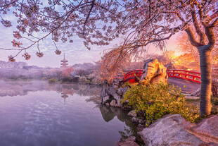 湖畔秋景