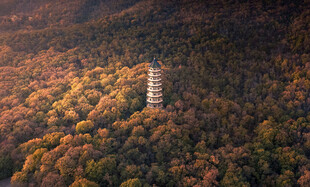 秋日山林中的古朴高塔
