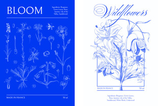 蓝色花卉书籍封面设计