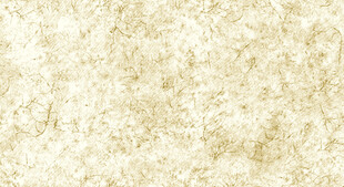 细腻米面粉质纹理图