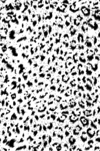豹纹图案纹理背景图