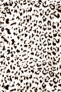 豹纹图案纹理背景图