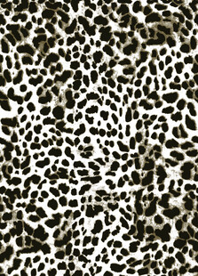 豹纹图案纹理背景