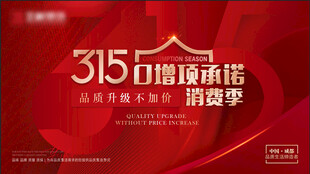 315海报