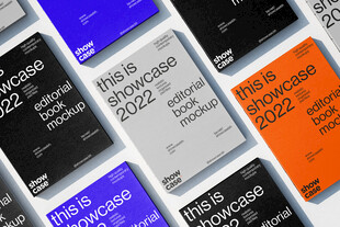 画册 样机 贴图 册子 网格 