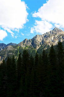 巍峨山峦与葱郁森林景观