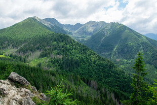 山峦叠翠的壮美自然景观