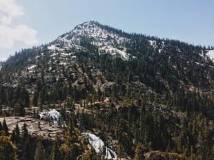 雪山下的葱郁山林景观