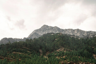 云雾缭绕的翠绿山峦