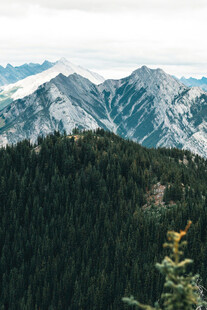 山峦叠翠间的茂密森林