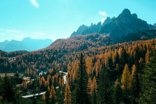 秋日山林间的壮美山景