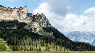 壮丽山峦与葱郁森林景观