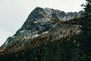 巍峨山峦与金黄植被景观