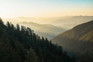 山间晨景