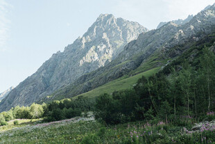 山间绿野中的巍峨山峰