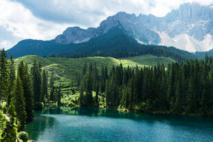 山间碧湖与葱郁森林美景