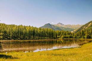 湖畔山林美景