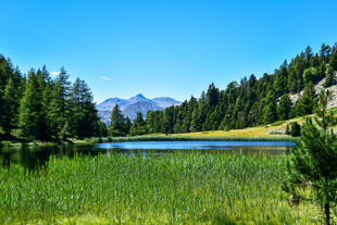 湖畔山林美景