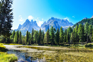 山间河畔森林壮丽美景
