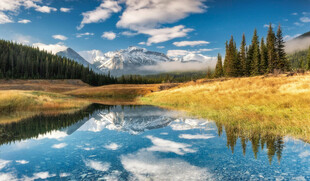 宁静湖景与山林的美丽风光
