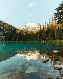 静谧翠湖映山林美景