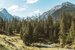 山间葱郁森林与巍峨山脉