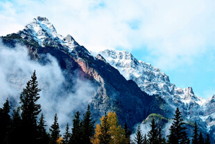 壮丽雪山与森林景观