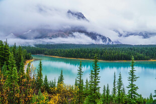 云雾缭绕的湖畔森林美景