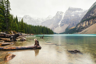 宁静湖畔的山林美景