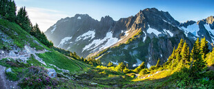 山间绿野与远处雪山美景