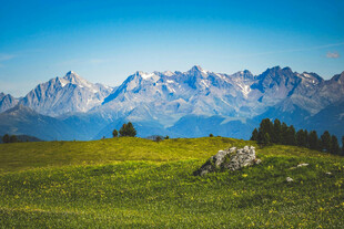 高山草甸美景