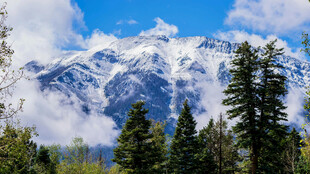 雪山森林美景