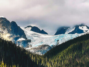 壮丽雪山森林景观