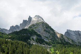 巍峨山峦与葱郁森林景观
