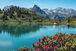 湖畔繁花映青山美景
