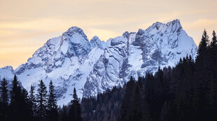 雪山夕照下的森林美景