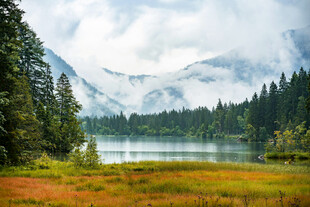 湖畔山林美景