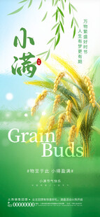 简约高级质感小满