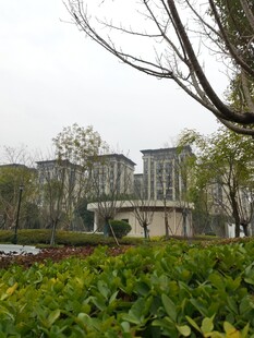 现代建筑旁的绿植景观