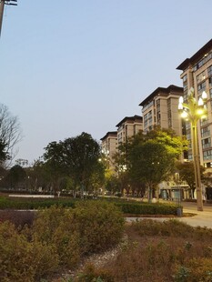 小区黄昏景致