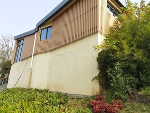 带绿植环绕的温馨住宅