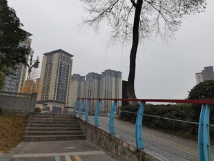 城市步道旁的高楼景观