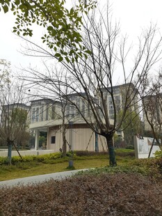 现代风格别墅周边景观